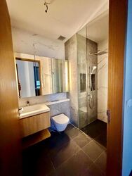 Sanctuary @ Newton (D11), Apartment #557600741